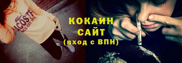 прущая мука Дмитриев