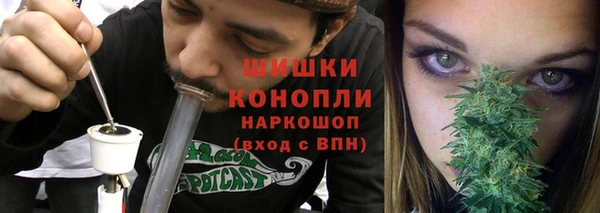 прущая мука Дмитриев