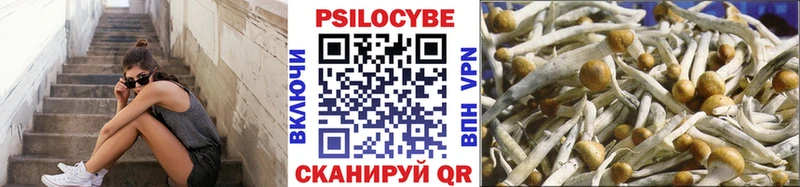 Псилоцибиновые грибы Cubensis  Купить  Валуйки 